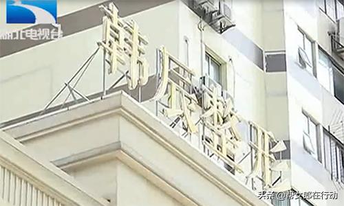 涓嬪反鍋囦綋鏁村舰浜茶韩缁忓巻,涓嬪反纭呰兌鍋囦綋鏁村舰