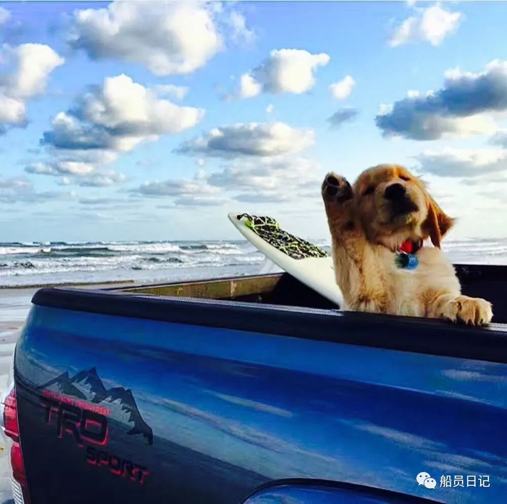 乘坐邮轮是什么感受,坐豪华邮轮的真实感受