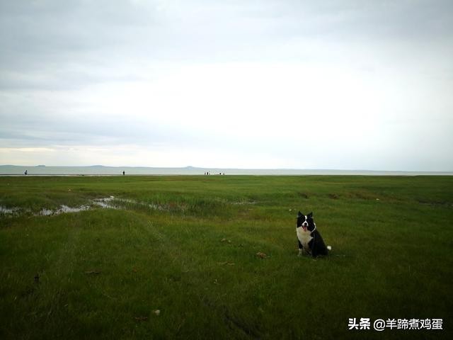 达里诺尔湖达达线,内蒙达里诺尔湖旅游攻略