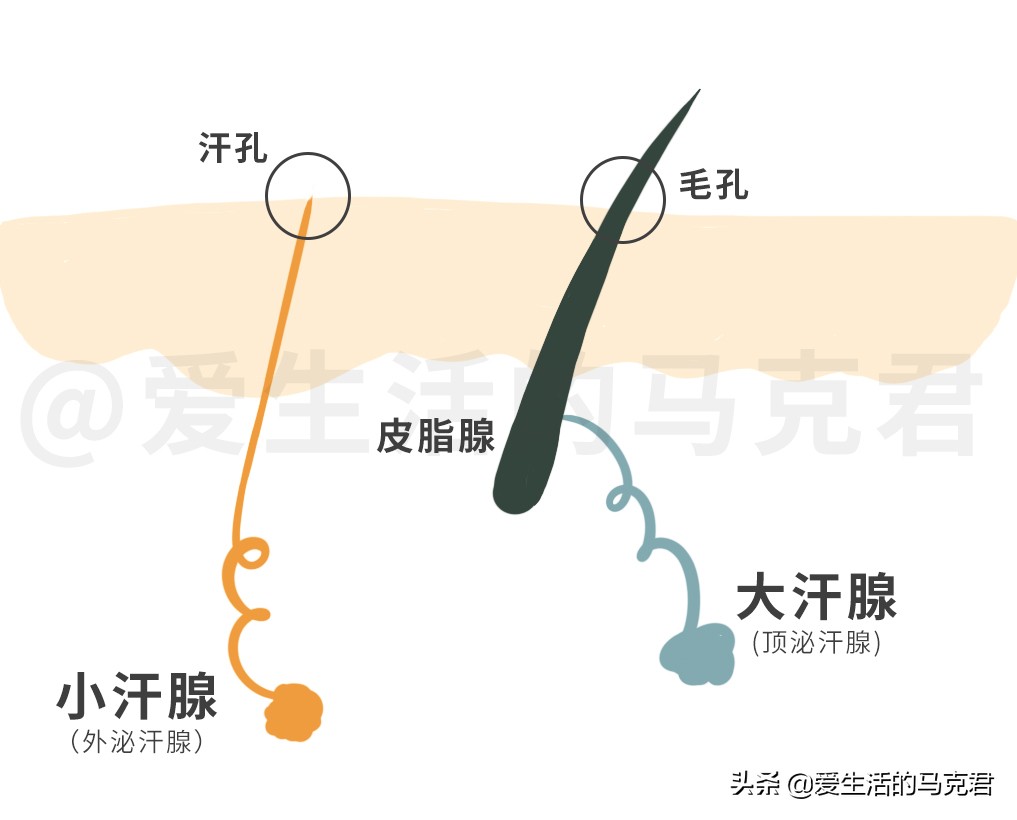 防臭止汗液,好用的止汗露去味