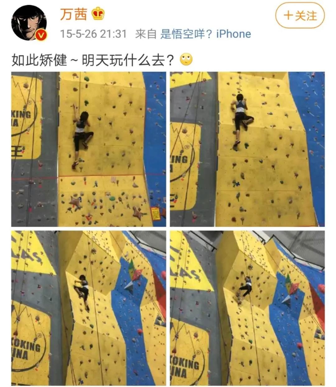 乘风破浪万茜怎么火的,万茜乘风破浪为什么那么多人喜欢