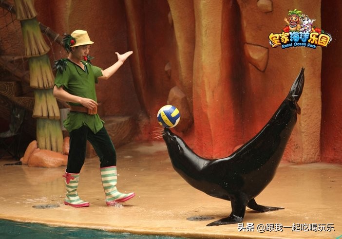 抚顺海洋馆外面有什么,沈阳和抚顺哪个海洋馆比较好