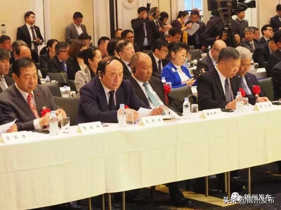 王德佳率团赴日本、波兰、匈牙利开展经贸洽谈活动~成果丰硕