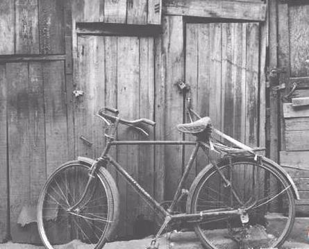 自行车凤凰牌好还是永久牌好,永久的自行车好还是凤凰的好