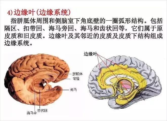 中小学教育真的伤害了男孩吗,儿童承受的压力太大造成脑损伤