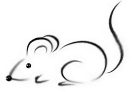 属马的适合戴什么生肖的手串,本命年戴什么生肖手串