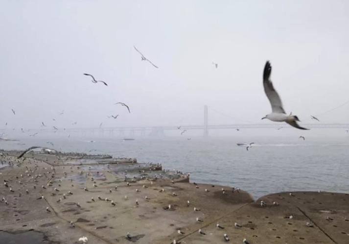 大连行程攻略,大连旅行攻略详细路线推荐图