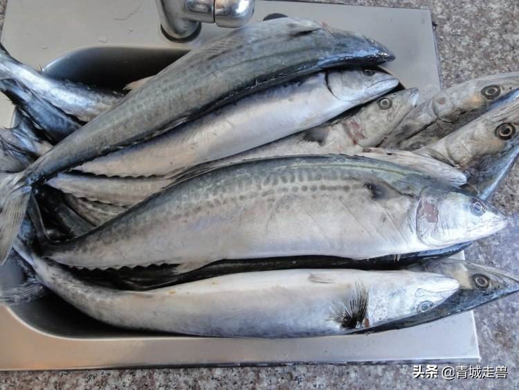 没有蛋清的鱼丸做法,没有搅拌机的鱼丸制作方法