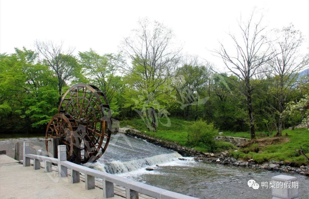 自驾车游遍中国之（一）——世界那么大，我想去神农架