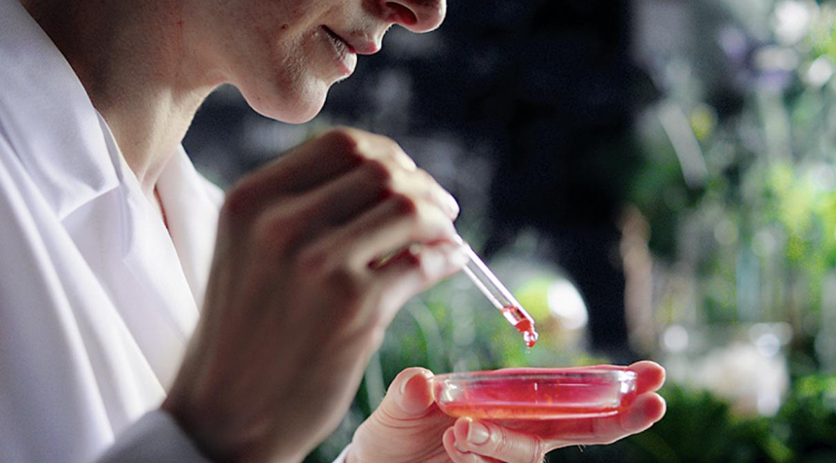 德国安娜柏林和拉薇哪个好,安娜柏林与德国世家