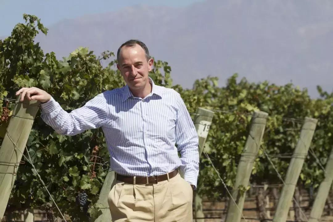 一般的拉菲是多少钱,市场上的拉菲是真的吗