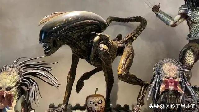 小伙花300万元买手办,小伙子花400万元买手办