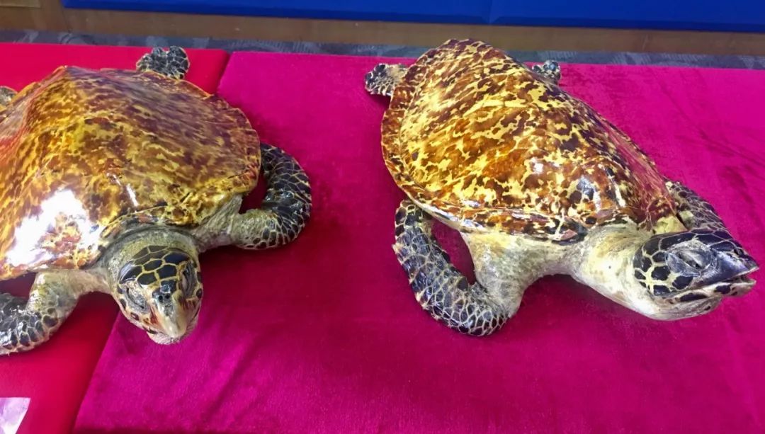 出国旅游禁忌捡东西,出国旅游哪些食品不能带