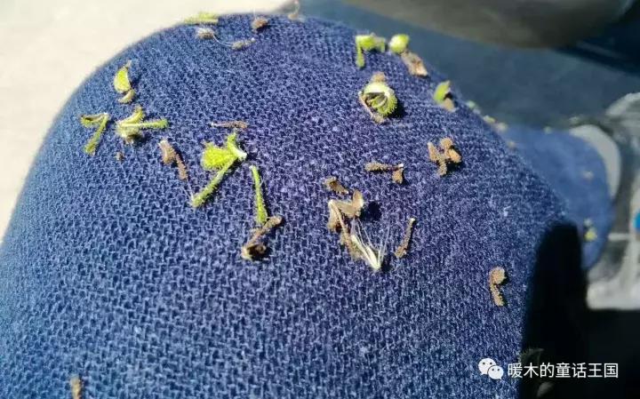 那是我的故乡英文,那是我的故乡完整版