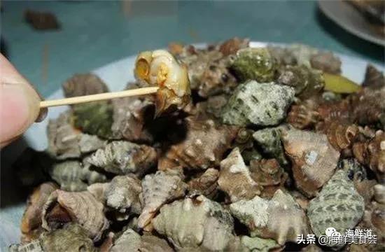 十种最美味海鲜,100种常见海鲜大全图