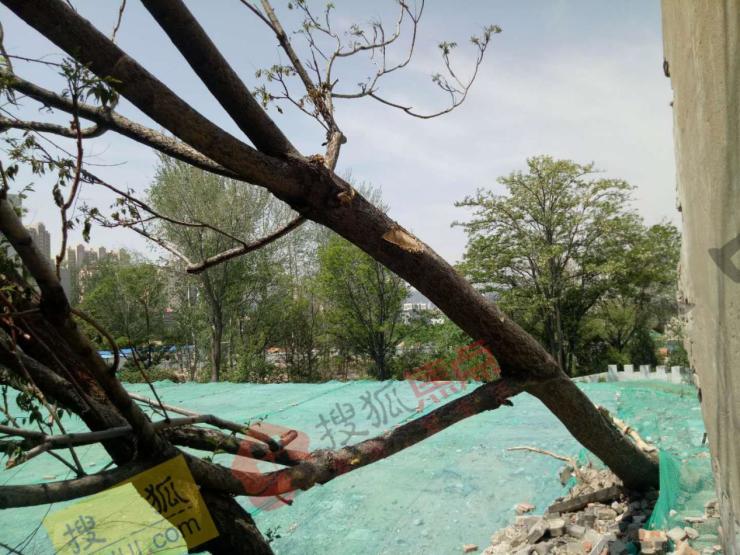 张家口有哪些新学校,张家口旧校区