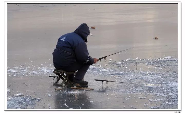 旅游宁夏至河南,旅游宁夏银川
