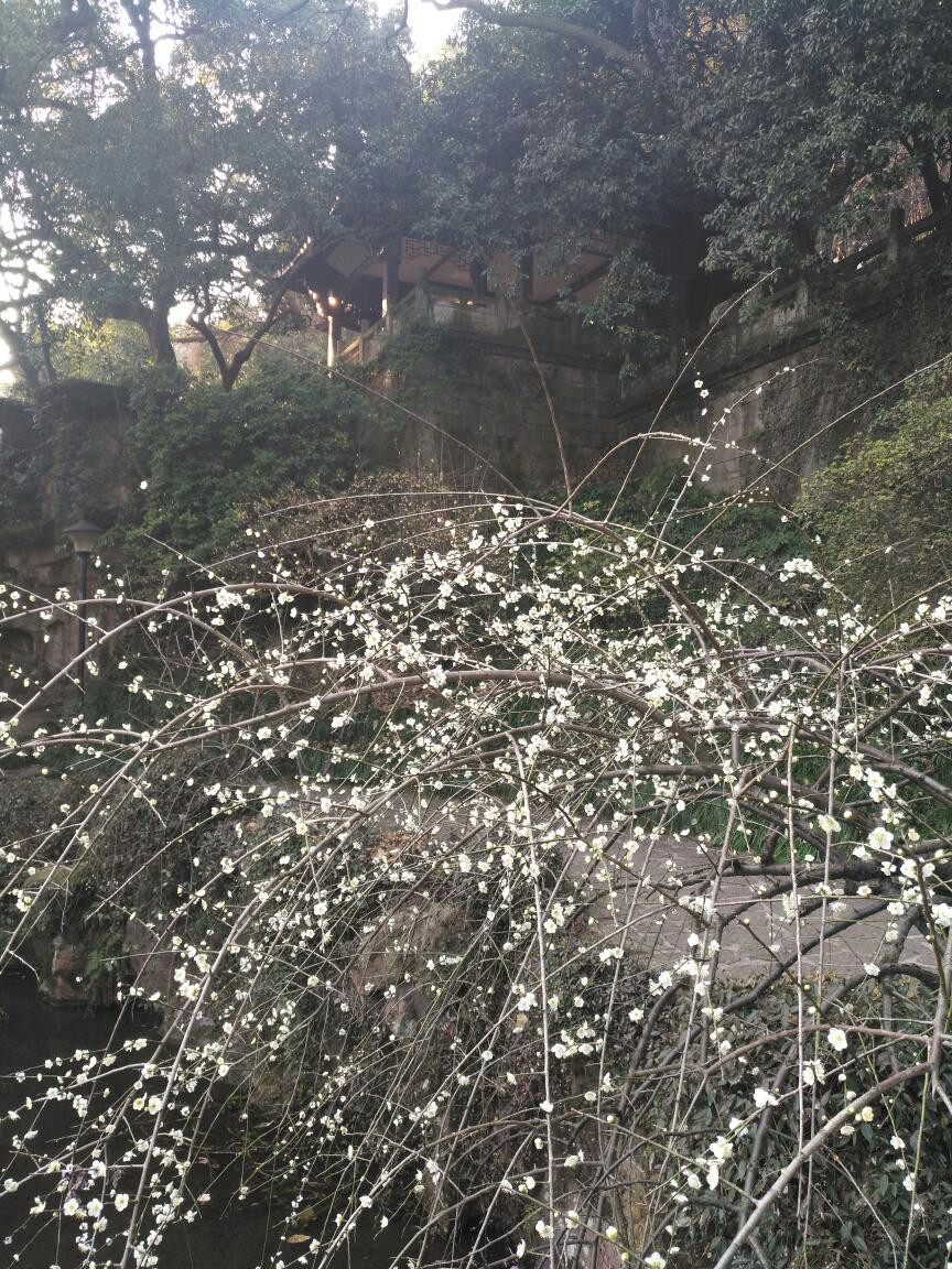 帮主去杭州,帮主离开的第一天