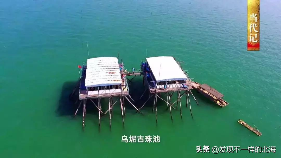 广西合浦是怎么样的？央视是这样全方位介绍这美丽的珠乡的