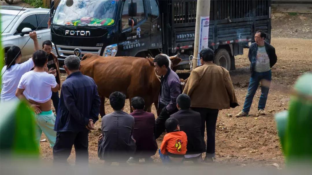 重访乌江丨继往开来，“古夜郎”成了可乐乡最亮的一张名片