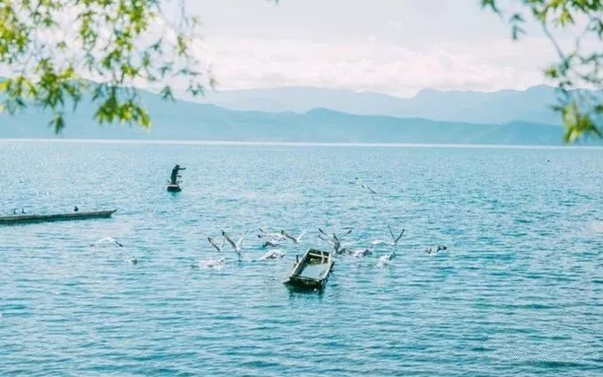 大理丽江泸沽湖三天之旅,云南丽江泸沽湖风花雪月