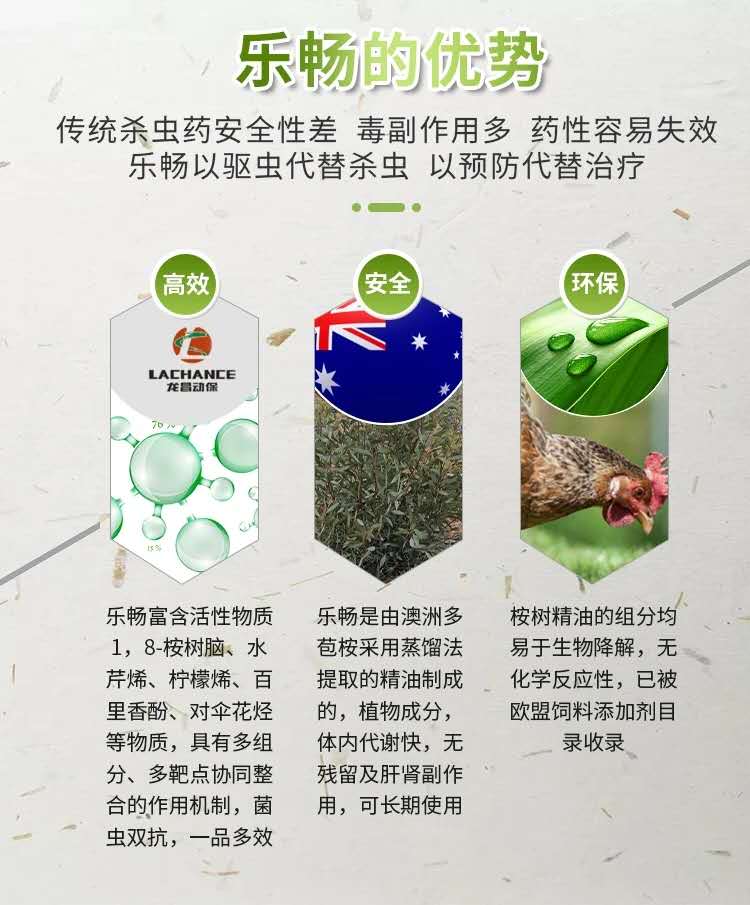 2020年7月鸡蛋价格什么时候会涨,2020鸡蛋价格上涨的原因是什么