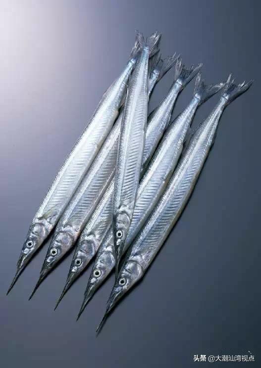 作为潮汕人，这89种海鲜你都能对上号吗