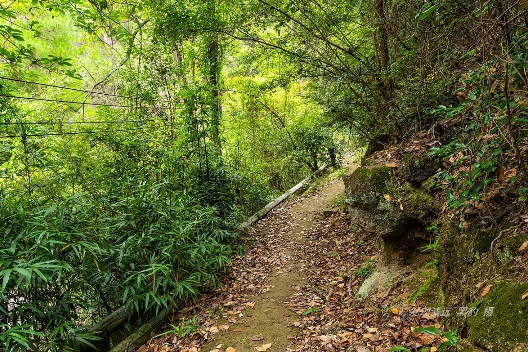 一次平常溯溪，竟意外发现广东最隐秘瀑布野温泉谷