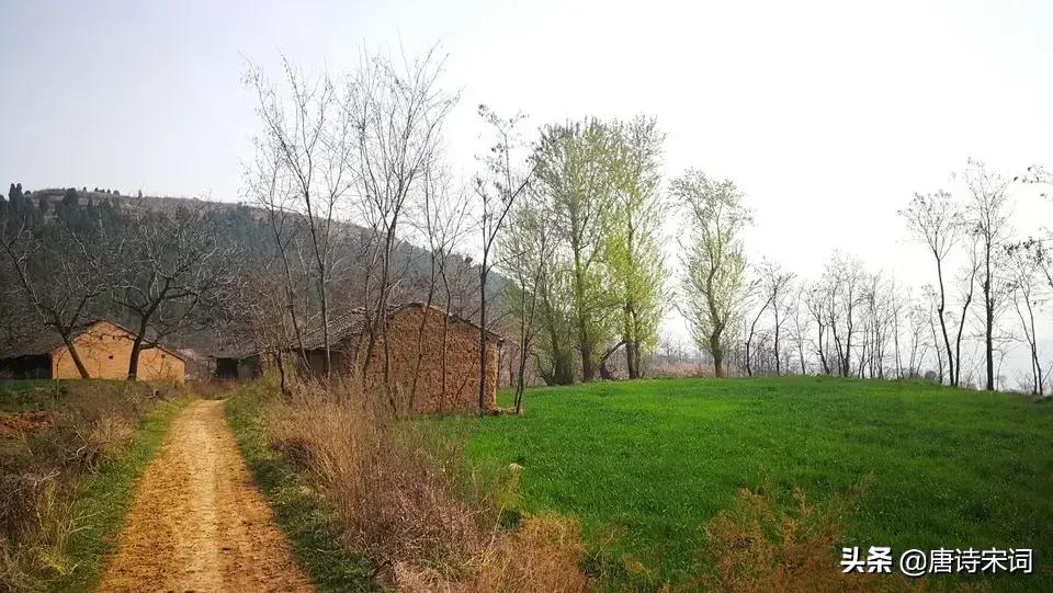 寒食和清明哪一个在前,寒食这首诗是关于清明节的吗