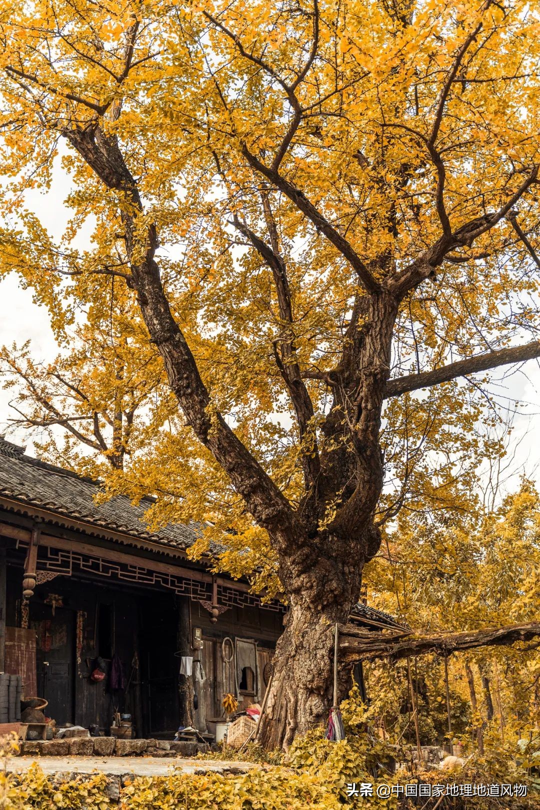 中国凉都的称号是贵州省的哪个市,中国的凉都六盘水