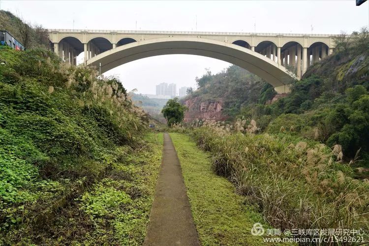 北碚复兴镇最近的视频,重庆市北碚龙门桥