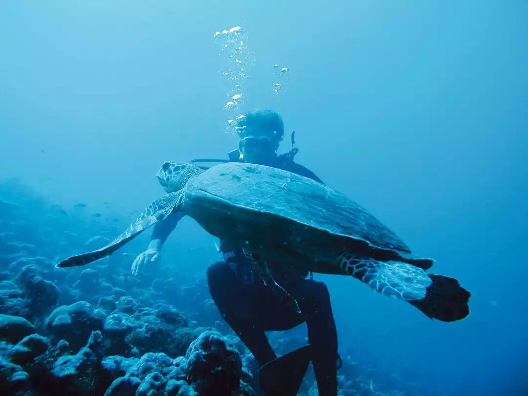 理想生活海景咖啡馆,理想生活