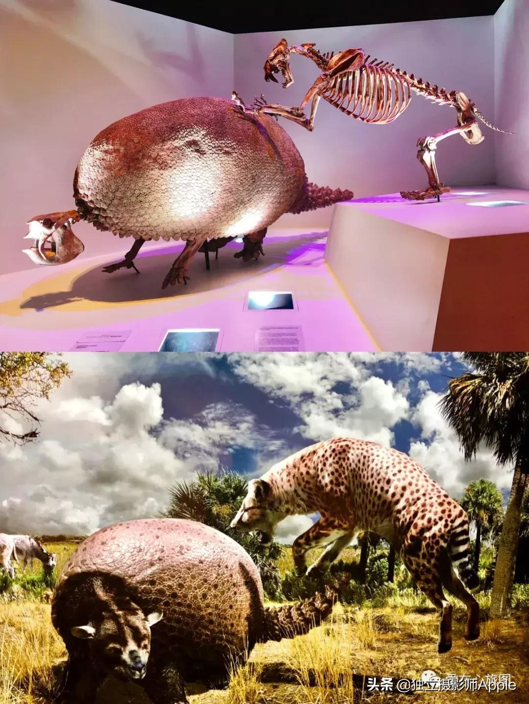 休斯顿酷玩攻略,请收下这份休斯顿酷玩指南