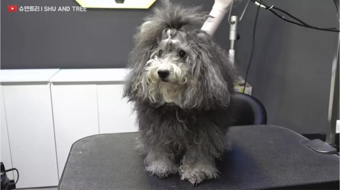 tony老师高阶换头术,90后tony老师换头术