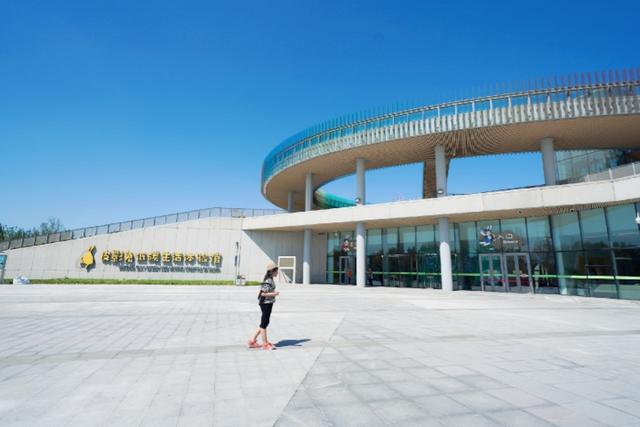 唐山市内研学,唐山研学攻略