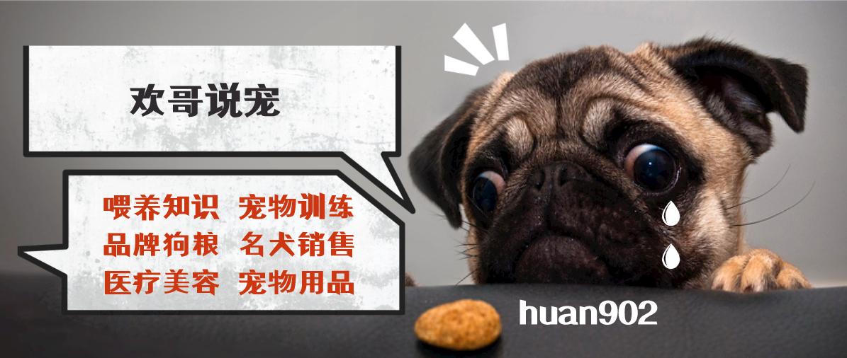 狗狗泪痕眼屎多怎么回事,狗狗有泪痕和眼屎怎么办