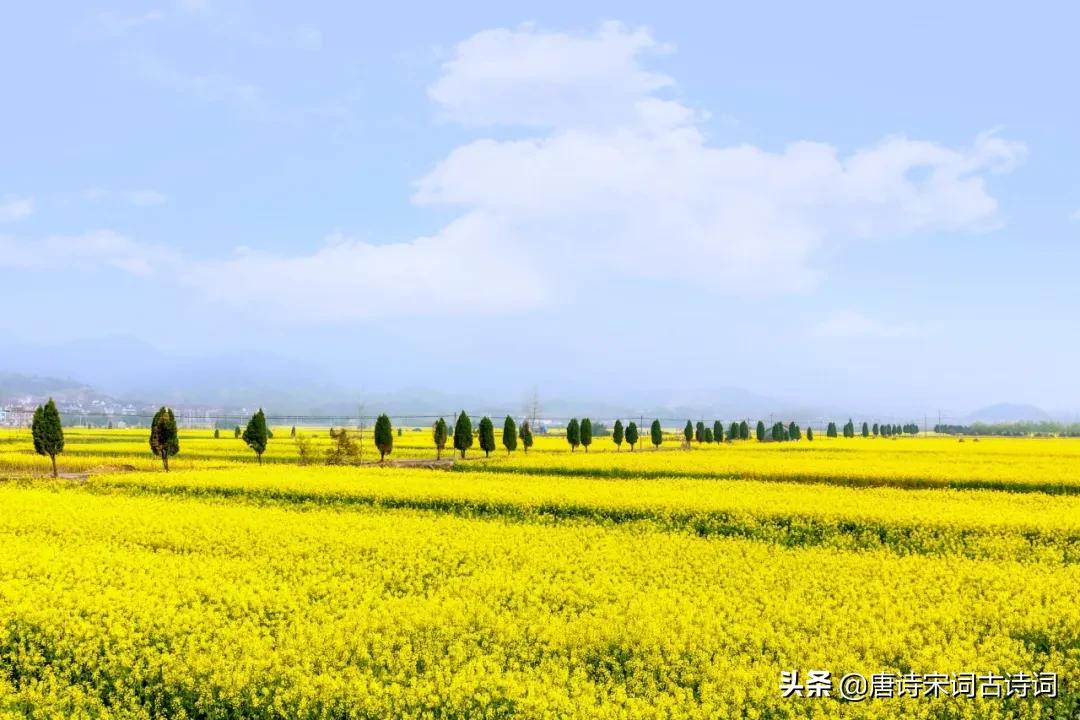 寒食古诗诗意100字,寒食节必读十首诗词