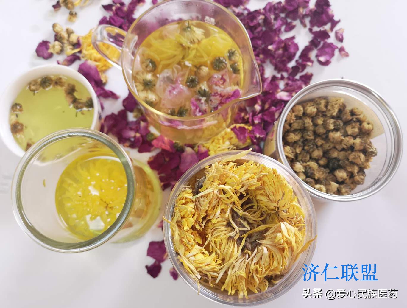 胎菊和金丝皇菊哪个泡水效果好,胎菊和玫瑰花可以一起吗