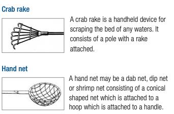 澳大利亚螃蟹哪里最好,澳大利亚黄金海岸抓螃蟹的地方