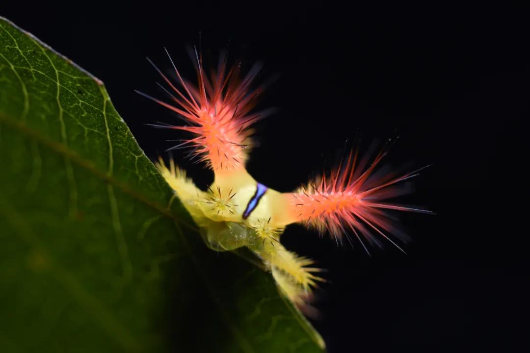 香港第14届全国摄影艺术展,第29届全国摄影艺术展览获奖名单