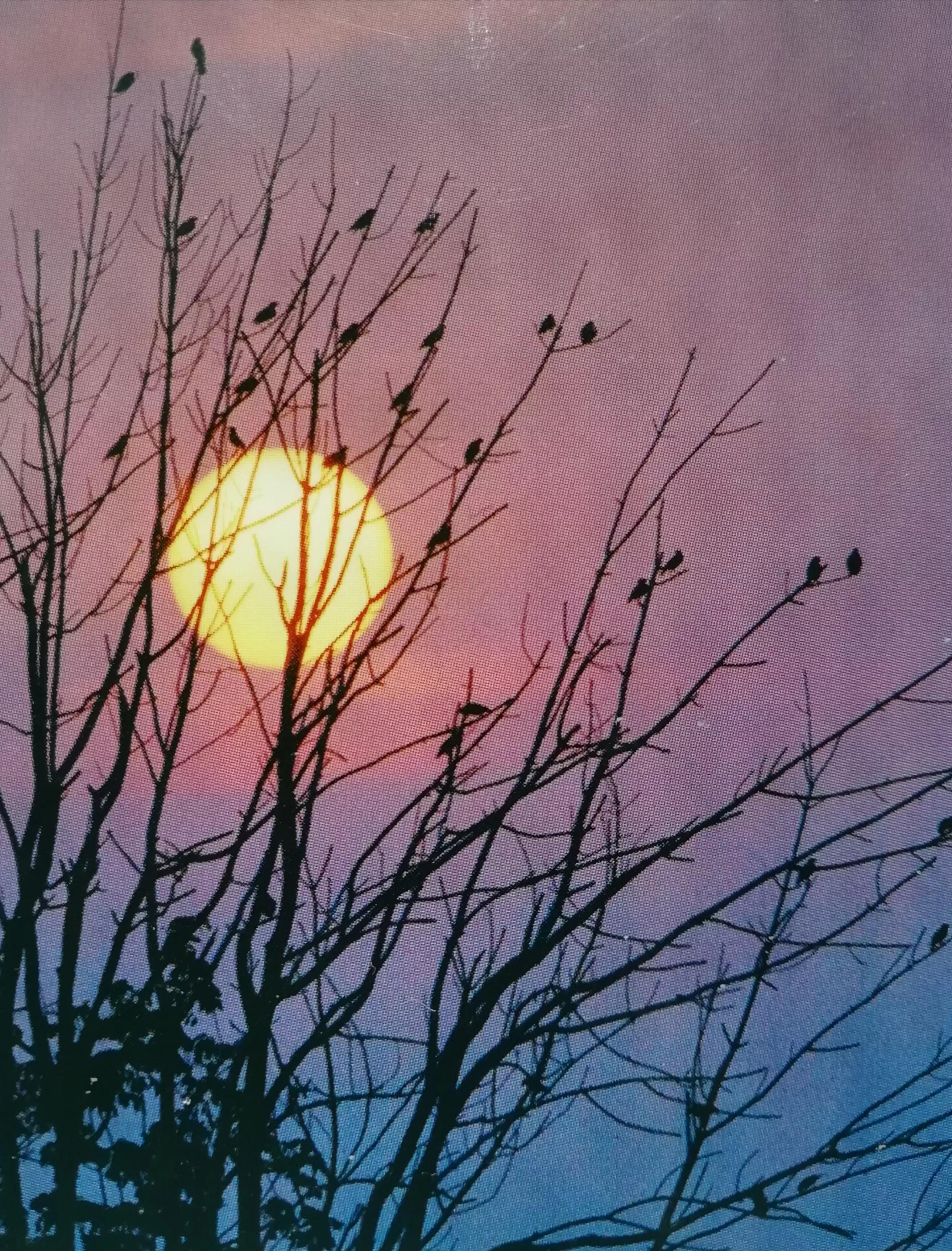 【旧作自励】原创中篇小说《烈血夯歌（十一）》陈正才