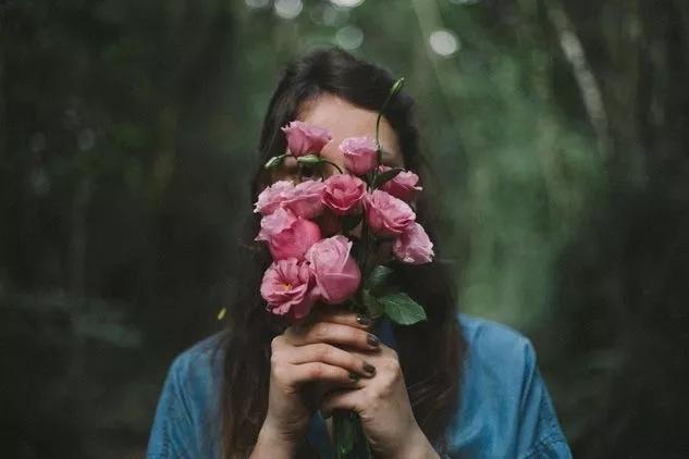 给大家介绍一下玫瑰品种,玫瑰的品种及特点介绍