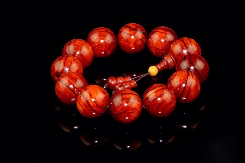 印度小叶紫檀森林视频,印度小叶紫檀秒懂百科