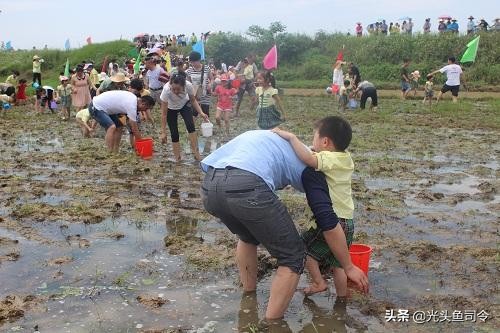 儿歌池塘里小泥鳅,池塘泥鳅儿歌