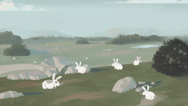 澳洲兔子为什么这么厉害,澳洲兔子是怎么泛滥的