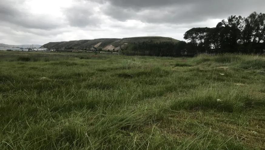 马国维拍的视频,马国维浙江