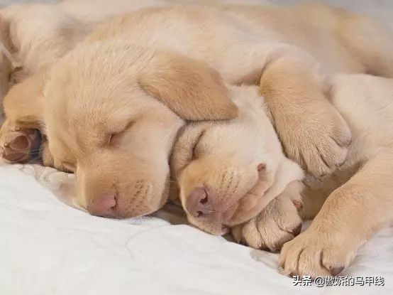 大众跑者马拉松前一周如何训练,跑者的准备工作