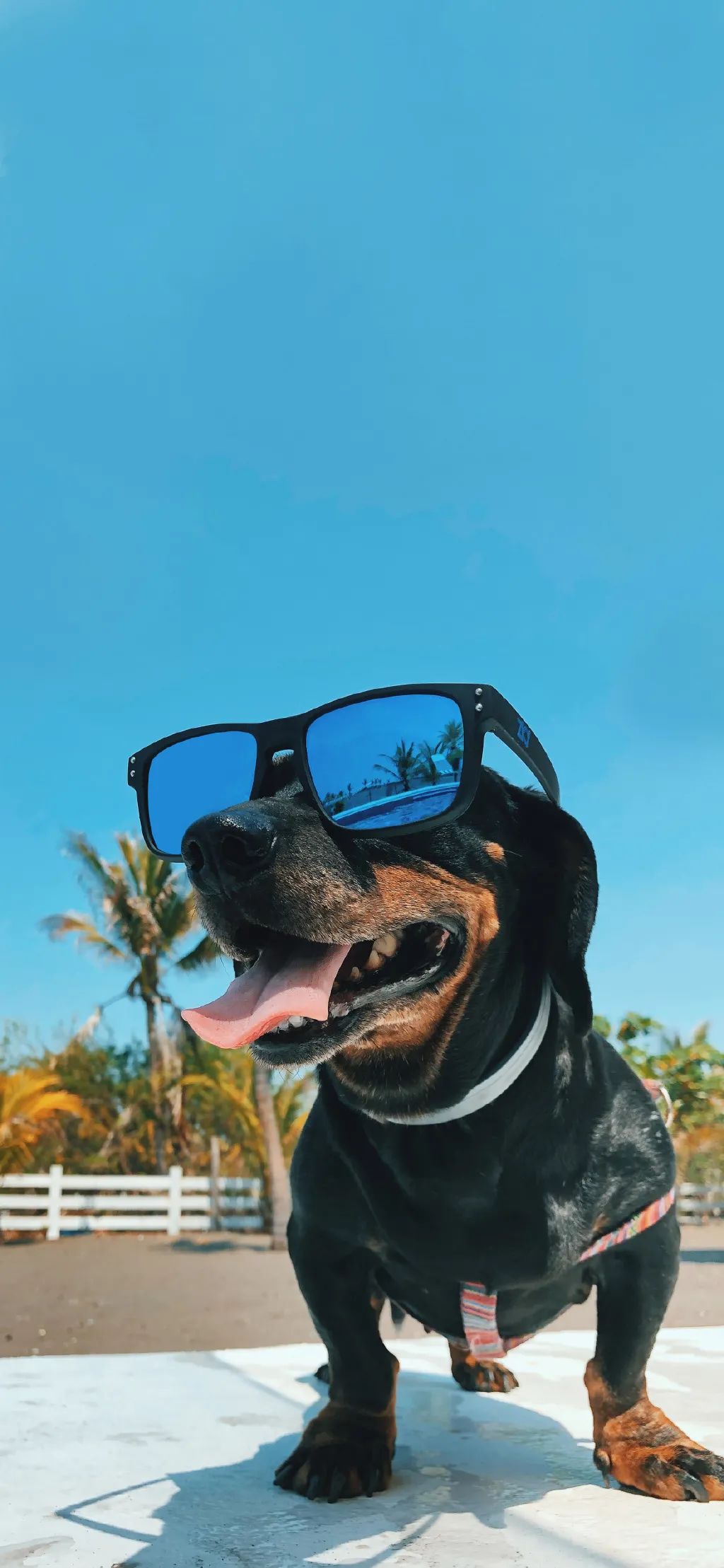 微信可爱聊天背景图壁纸,有趣的聊天背景图片壁纸