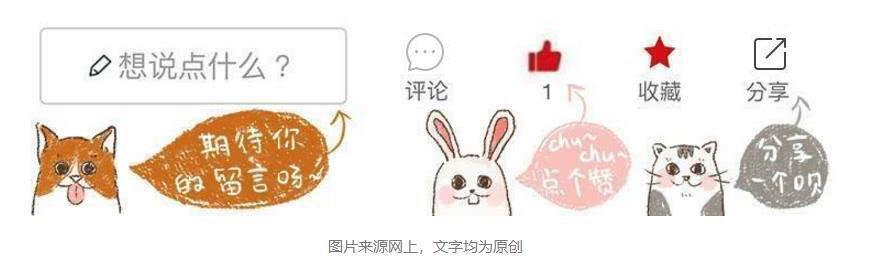 猫咪为什么变得异常警惕,猫哮喘和猫咳嗽怎么区分