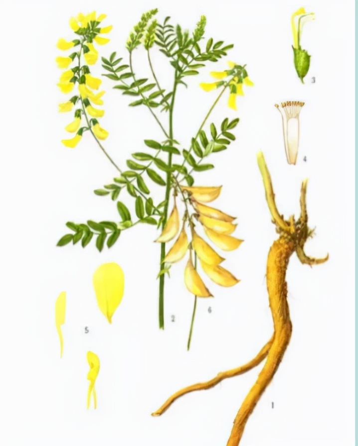 马博士中医养生,马博士讲医学视频